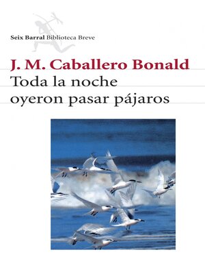 cover image of Toda la noche oyeron pasar pájaros